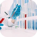 IVF Treatments